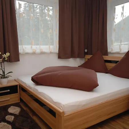 Haus Dilara 招待所 佩特诺伊阿尔贝格